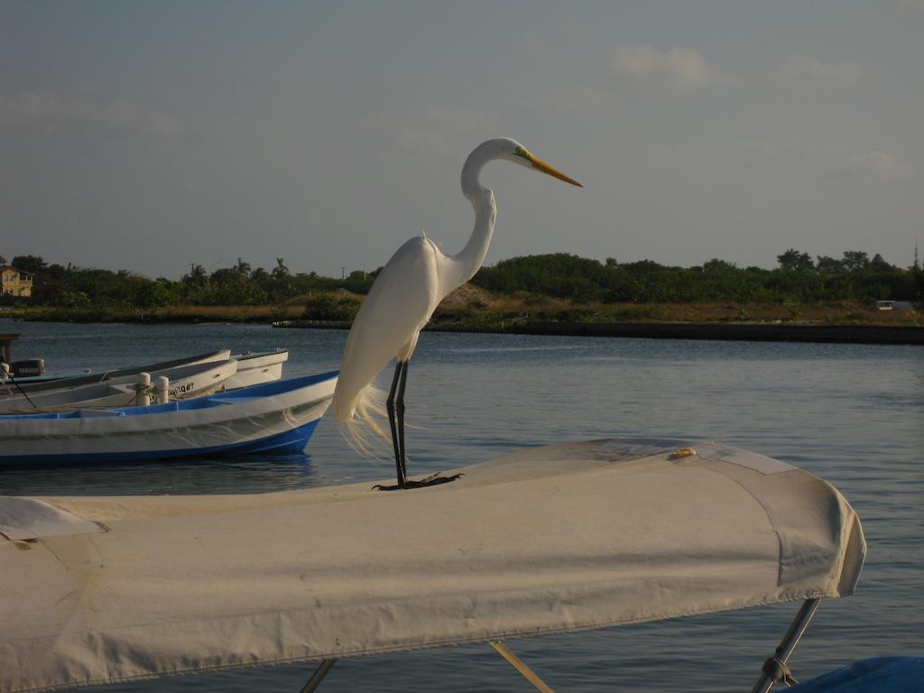 Laru Beya Resort Placencia Luaran gambar